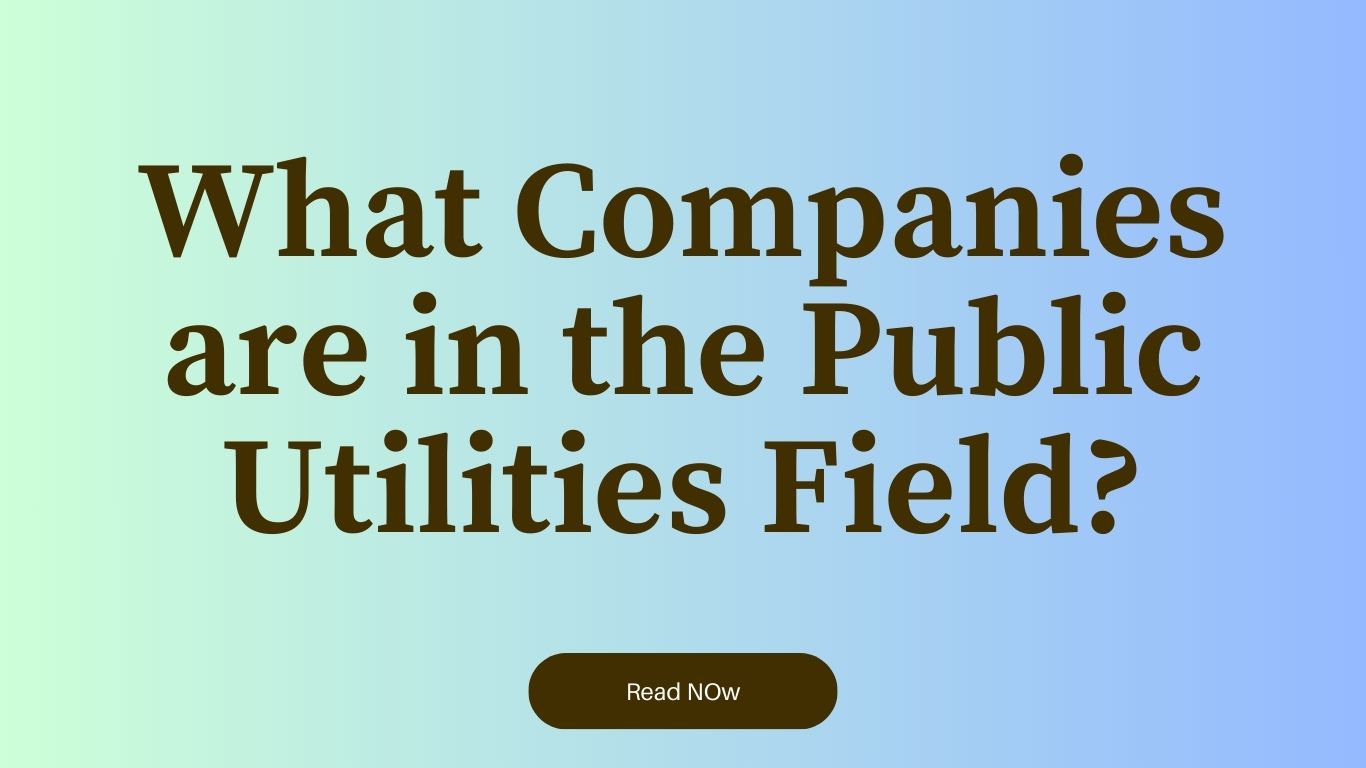 What Companies are in the Public Utilities Field?